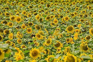 VR叙事互动新作《最后的工作者》上市日期公布